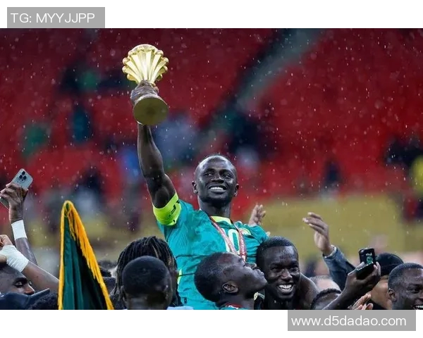 南非与塞内加尔激战正酣谁将赢得这场非洲足球盛宴